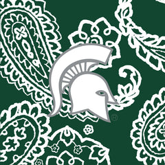 Collegiate Plush XL Throw Blanket